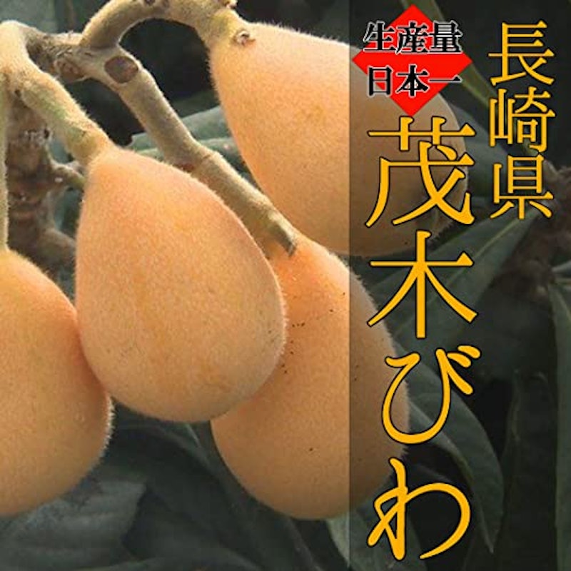 長崎県産 茂木びわ 2