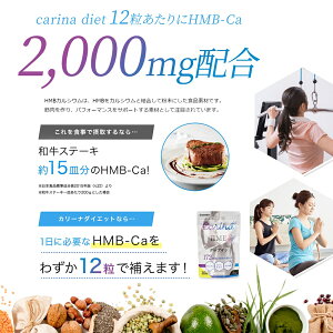 カリーナダイエット 3