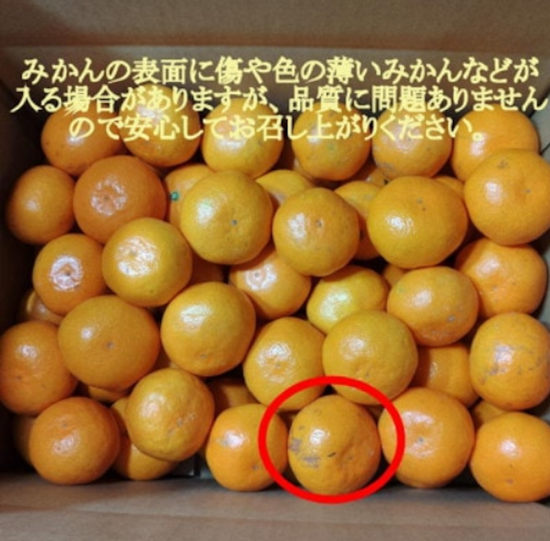 有田・庄助みかん 3