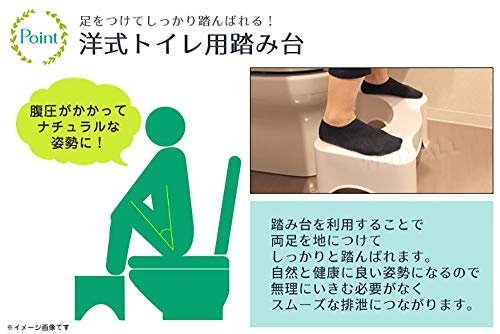トイレステップ台 3