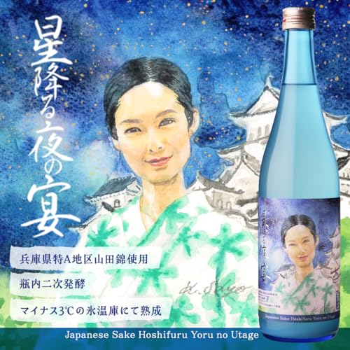 星降る夜の宴 2