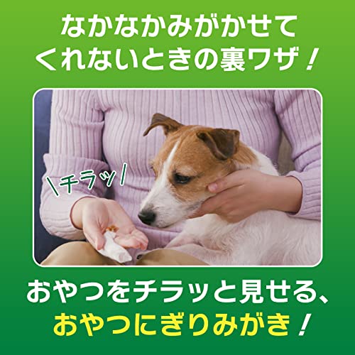 指サック歯みがきシート 7