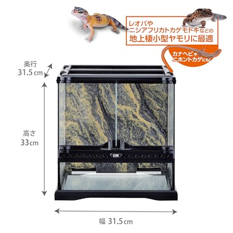 レオパ飼育キット 3