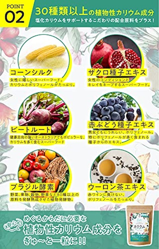 カリウム サプリメント 2