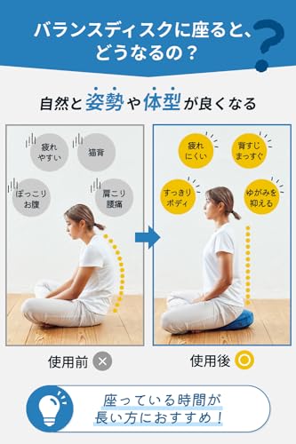 バランスディスク 3