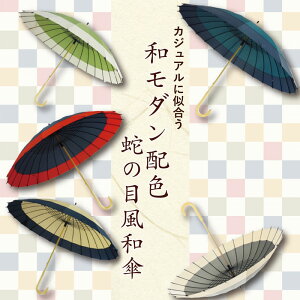 蛇の目風和傘 2