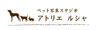 アトリエ ルシャ 1