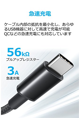 高耐久ナイロン USB-C & USB-A ケーブル 3