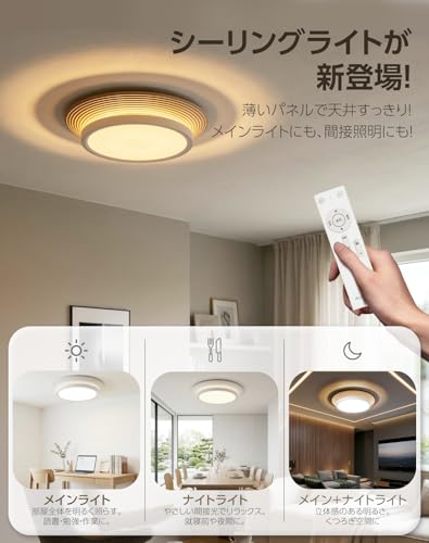 シーリングライト 2