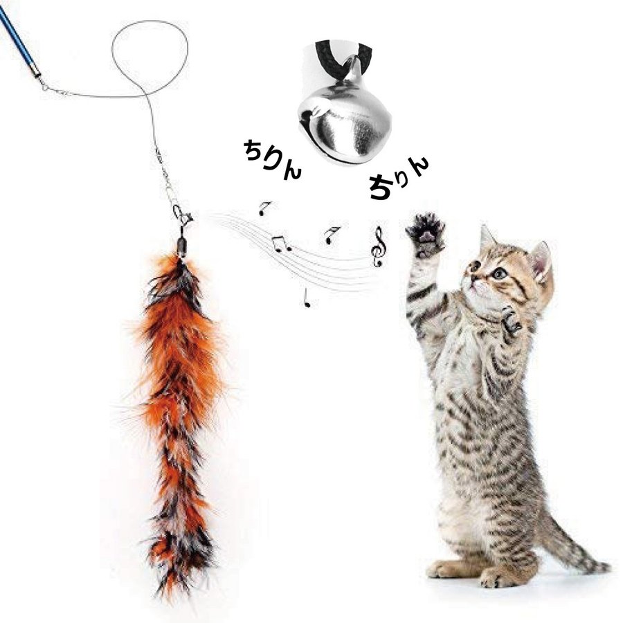 猫じゃらしのおすすめ人気ランキング10選 Mybest
