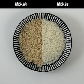 タイガー魔法瓶 精米器 RSF-A100の口コミ・評判は?実際に使ってよい点・気になる点を徹底レビュー! 5