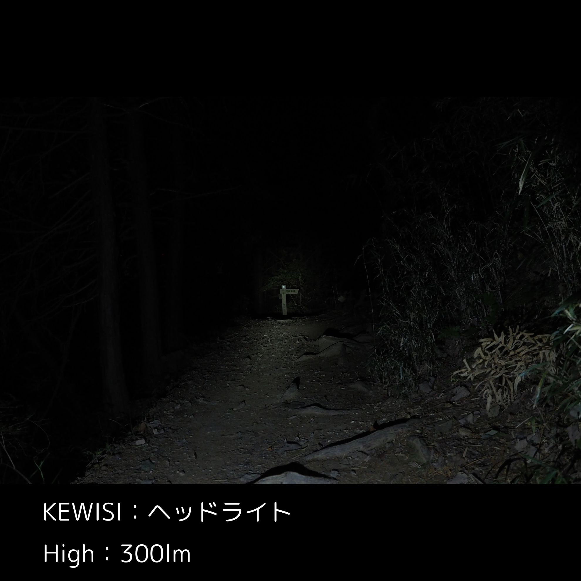 ヘッドライト 2