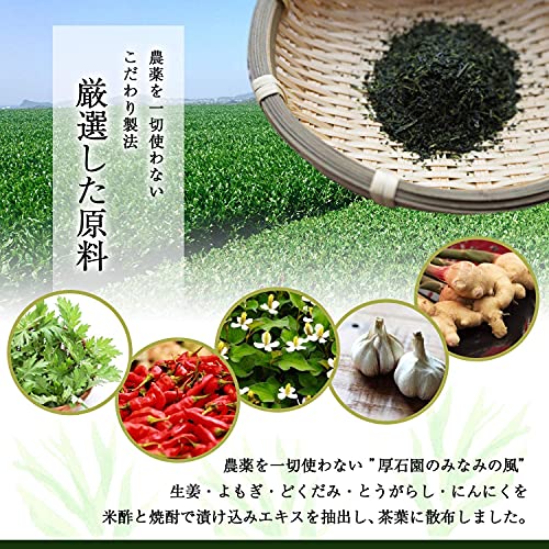 みなみの風 4