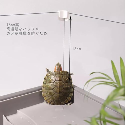 亀の水槽 6