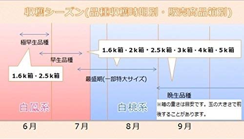 山梨県産 白鳳 白桃 3