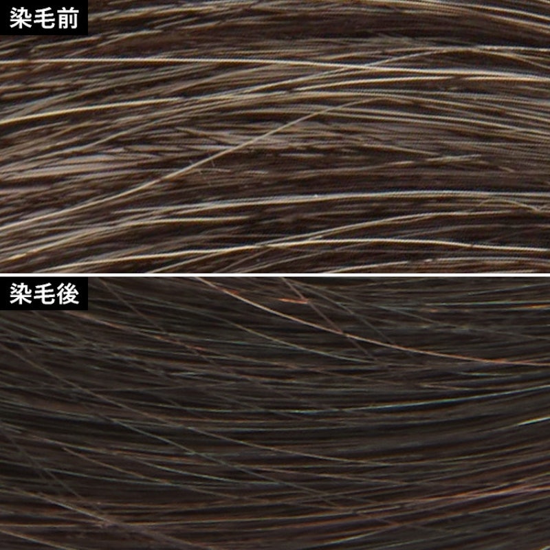 徹底比較 白髪染めトリートメントのおすすめ人気ランキング22選 Mybest