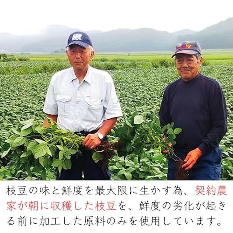 朝採れむき枝豆 4