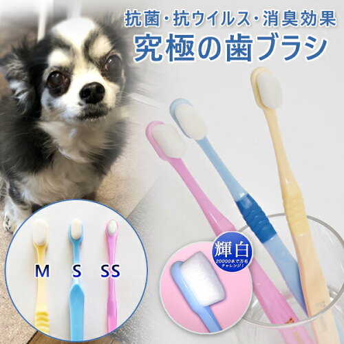 犬用歯ブラシのおすすめ人気ランキング【2026年6月】 4