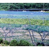 防鳥網のおすすめ人気ランキング【2026年9月】 4