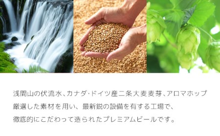 THE軽井沢ビール 8種飲み比べセット 2