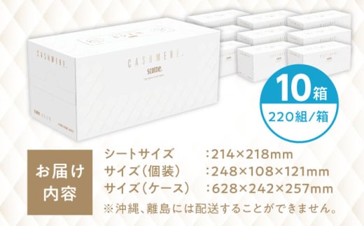 スコッティ カシミヤ 10箱 8
