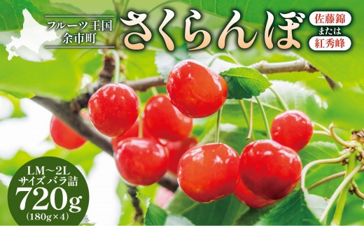 さくらんぼ バラ詰め 1