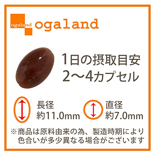 高麗人参カプセル 2