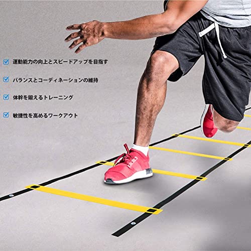 トレーニングラダー 5