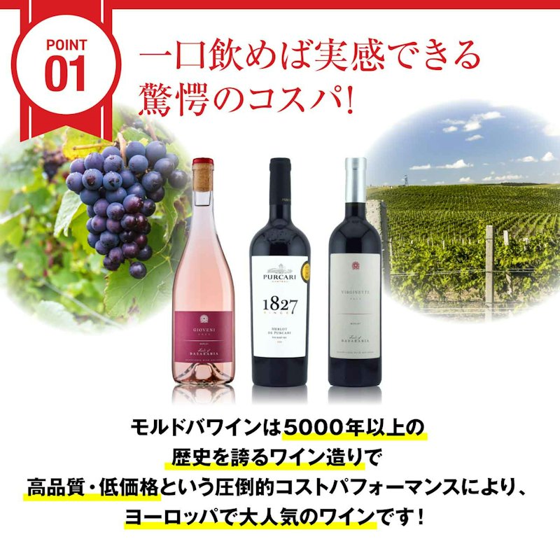 モルドバワイン メルロー品種100% 750ml 3本セット 1