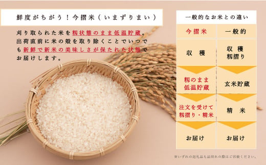籾貯蔵今摺米きたくりん 2