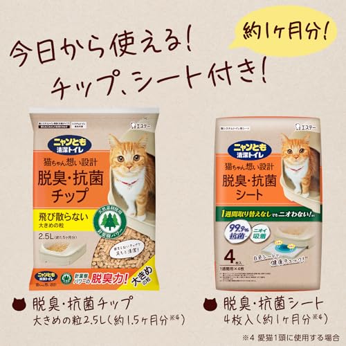 オープンタイプ  8