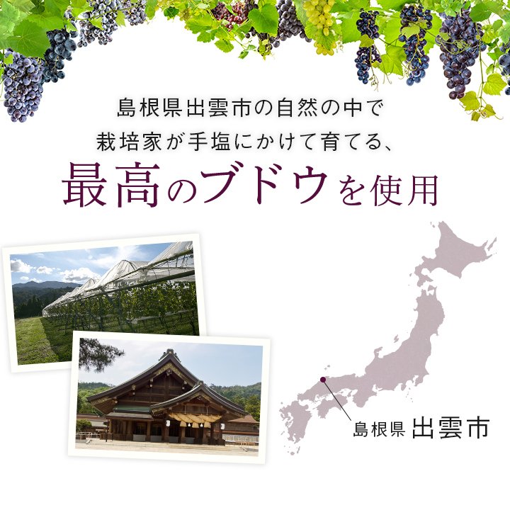 白・赤詰合せセット 2
