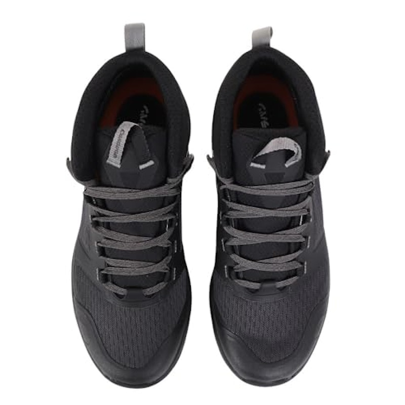 C1_DL MID 2