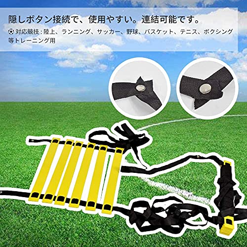 トレーニングラダー 5