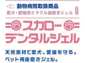スカローデンタルジェル 2