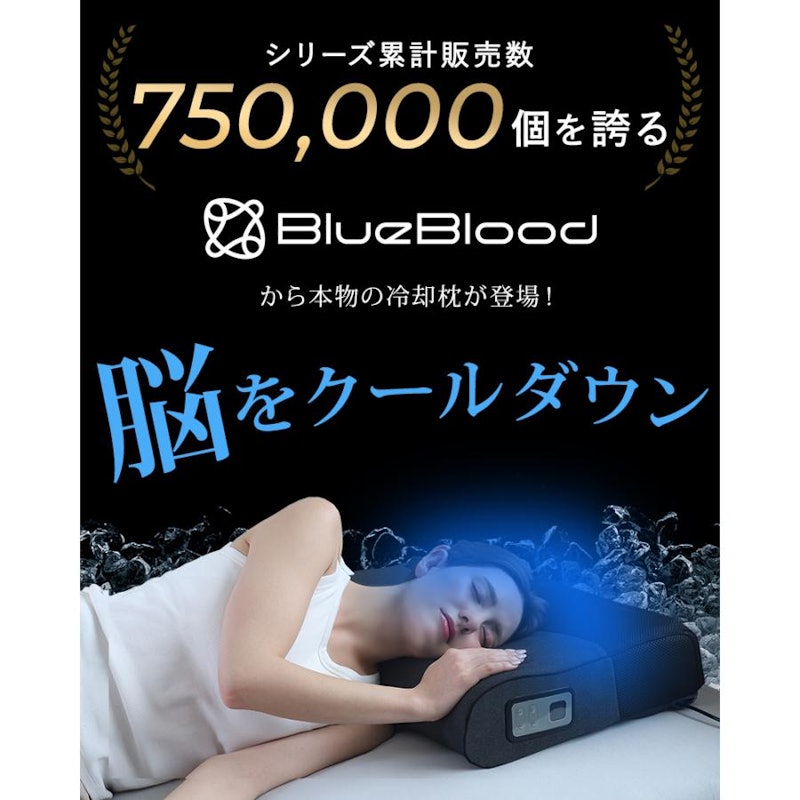 サイバーチルピロー 2