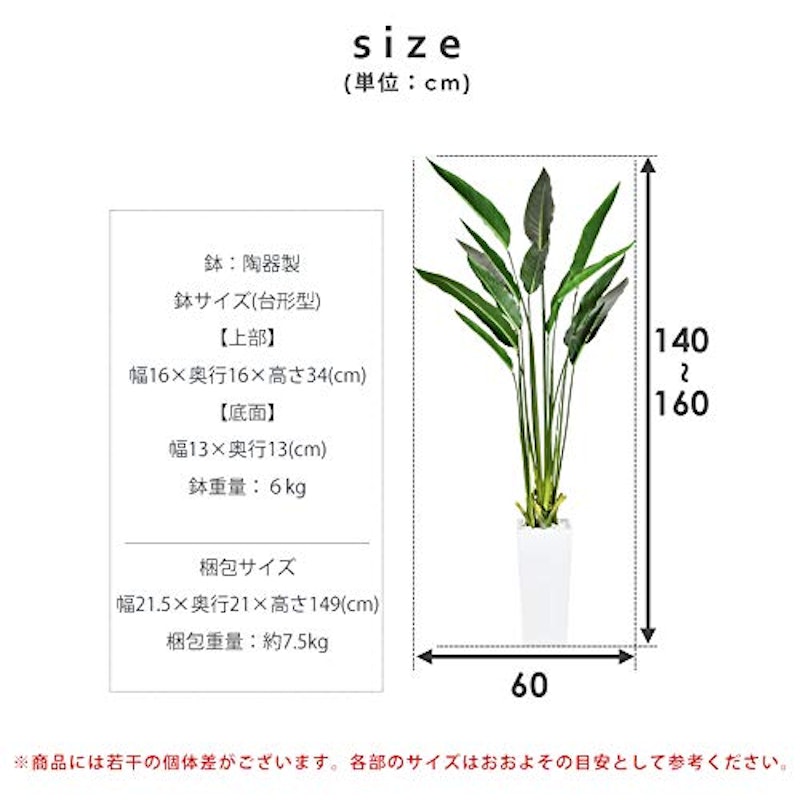 ストレリチア 2