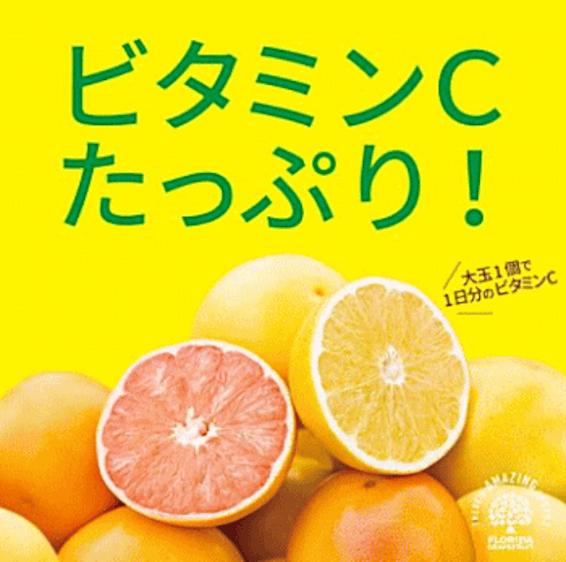 特選グレープフルーツ 3