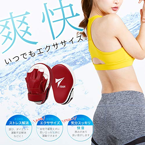 パンチングミット 2