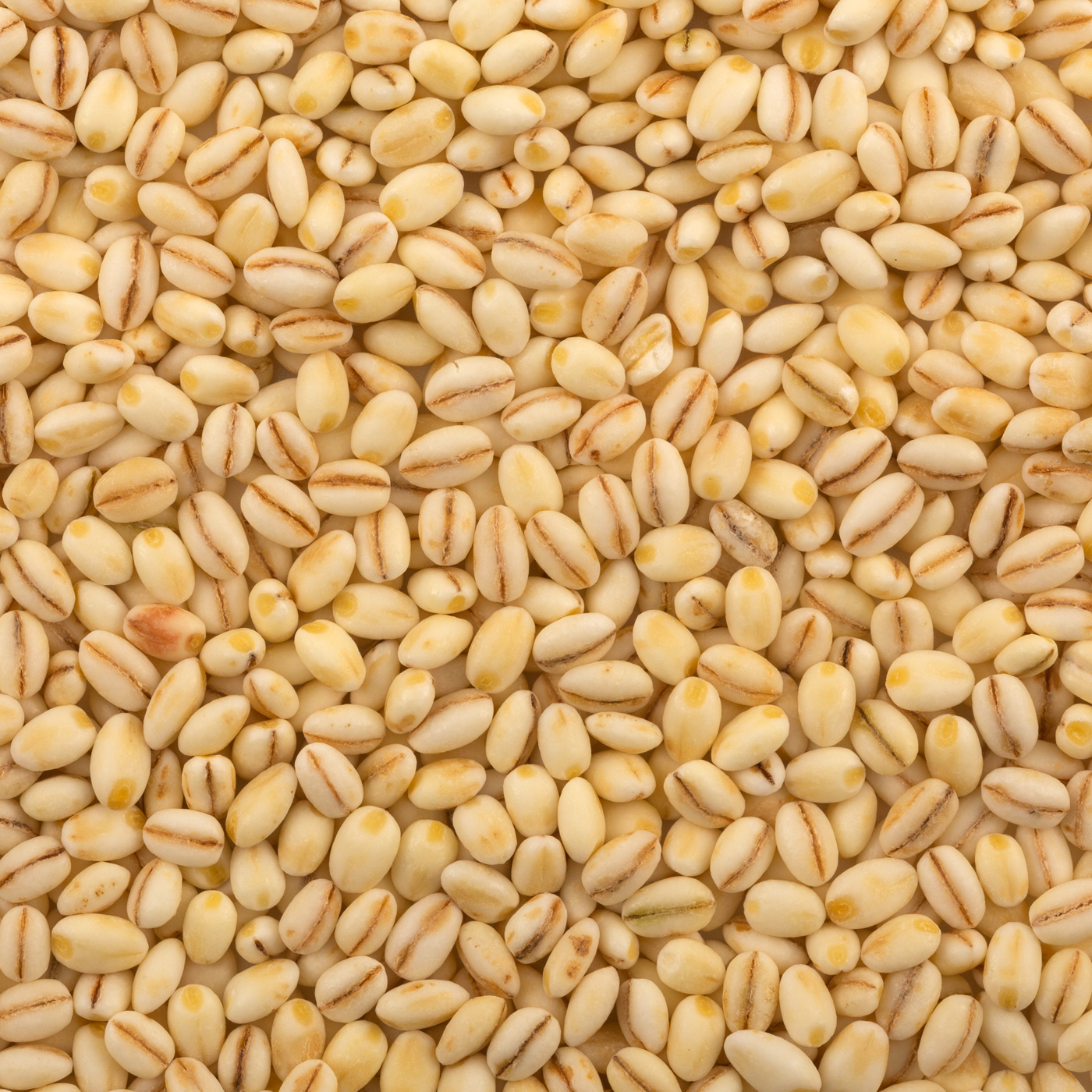 アイリスオーヤマ 国産もち麦を全14商品と比較！口コミや評判を実際に試食してレビューしました！ | mybest