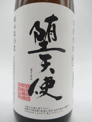 堕天使 2