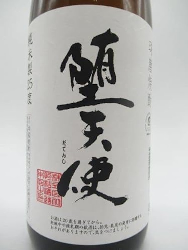 堕天使 2