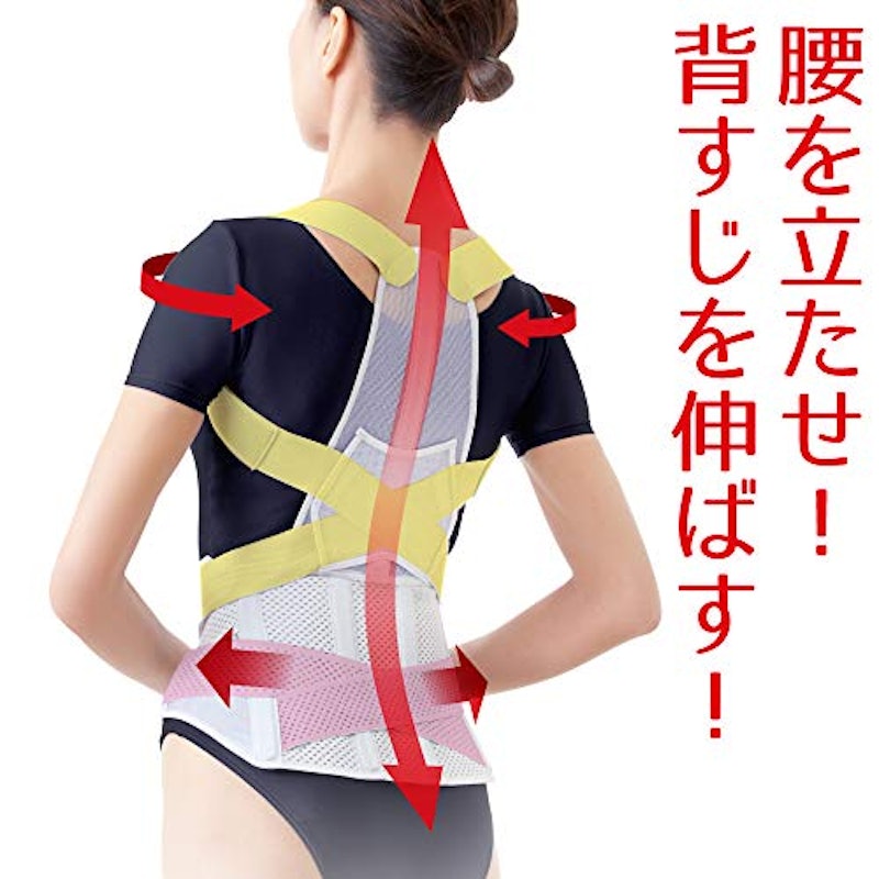 お医者さんの腰から正す姿勢ベルト 2
