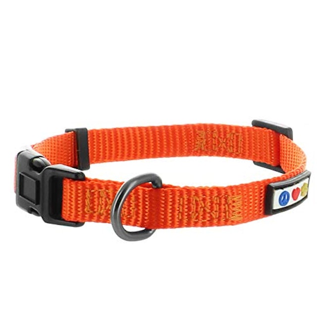 21年 子犬用首輪のおすすめ人気ランキング14選 Mybest 21年 子犬用首輪のおすすめ人気ランキング14選 Mybest