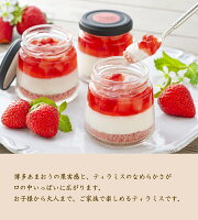 マヌカンピス 博多あまおうのティラミス 4