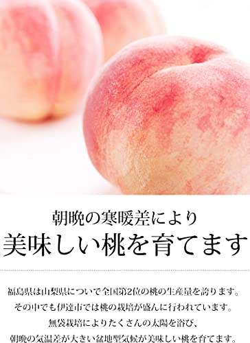 JAふくしま未来 ミスピーチ 7