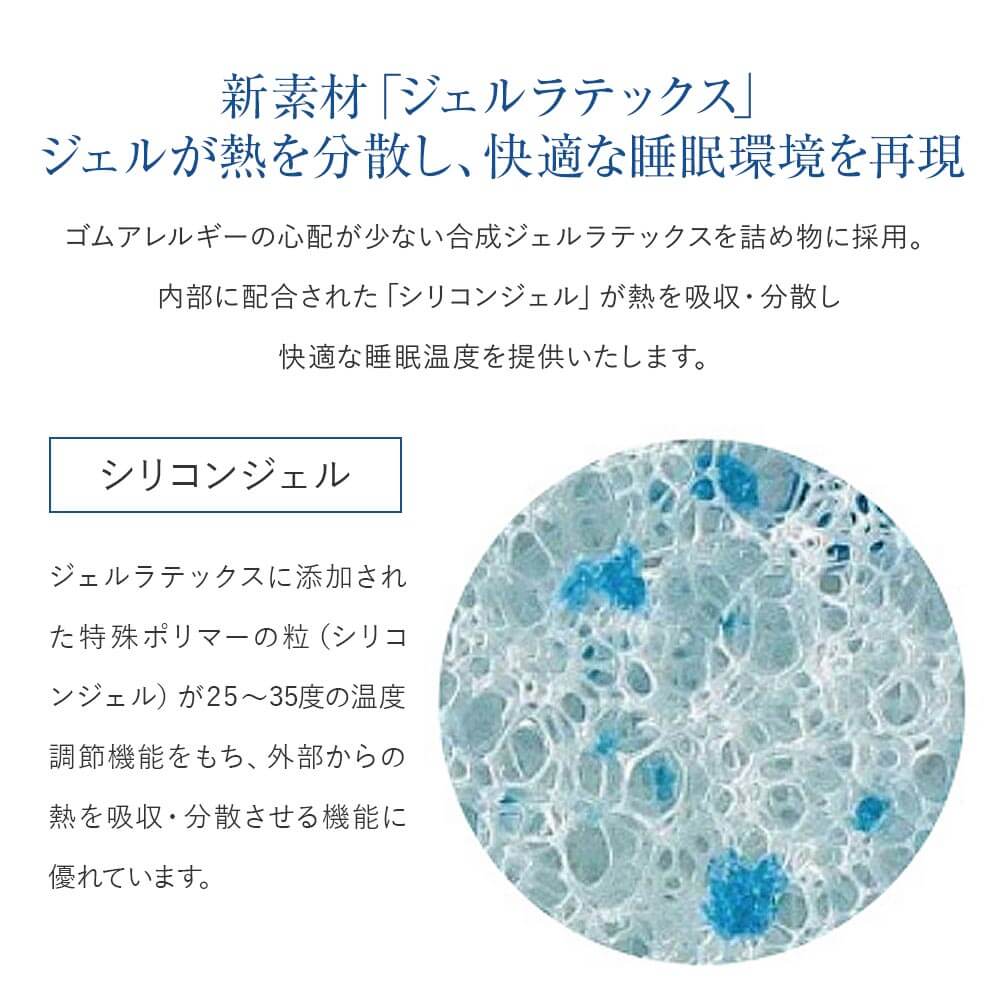 エバンスⅢ 5