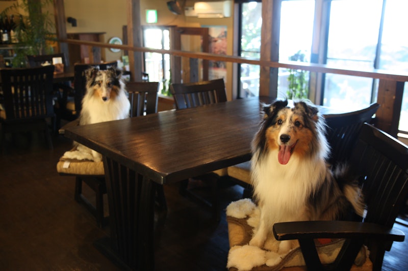 和みの犬宿 むつみ庵 3