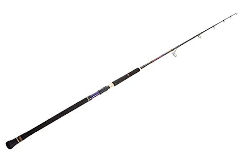 22年 オフショアキャスティングロッドのおすすめ人気ランキング選 Mybest 22年 オフショアキャスティングロッドのおすすめ人気ランキング選 Mybest