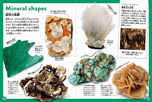 これだけは知っておきたい 岩石・鉱物図鑑 6